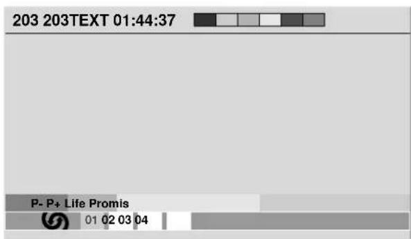 PIONEER PDP-R04G - Visualización de páginas secundarias - 1