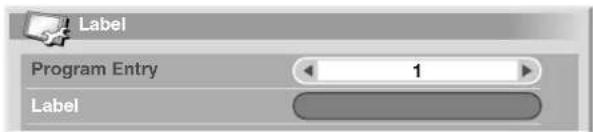 PIONEER PDP-R06G - Labeling TV channels - 1