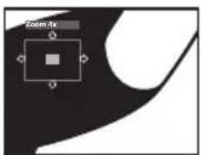PIONEER XV-HTD7 - During playback, use the ZOOM button to select the zoom factor. - 3