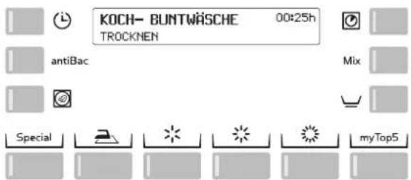 Schulthess Spirit eMotion TW 7240i - Programmablauf / Programmstand - 1