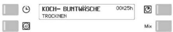 Schulthess Spirit eMotion TW 7316 - Programmablauf / Programmstand - 1