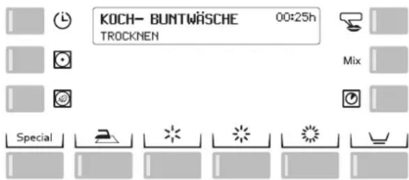 Schulthess Spirit TopLine TC 8230 - Programmablauf / Programmstand - 1