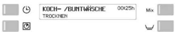 Schulthess Spirit TopLine TW 7335i - Programmablauf / Programmstand - 1