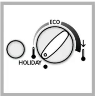 INDESIT 3D AA NX - Holiday function - 1