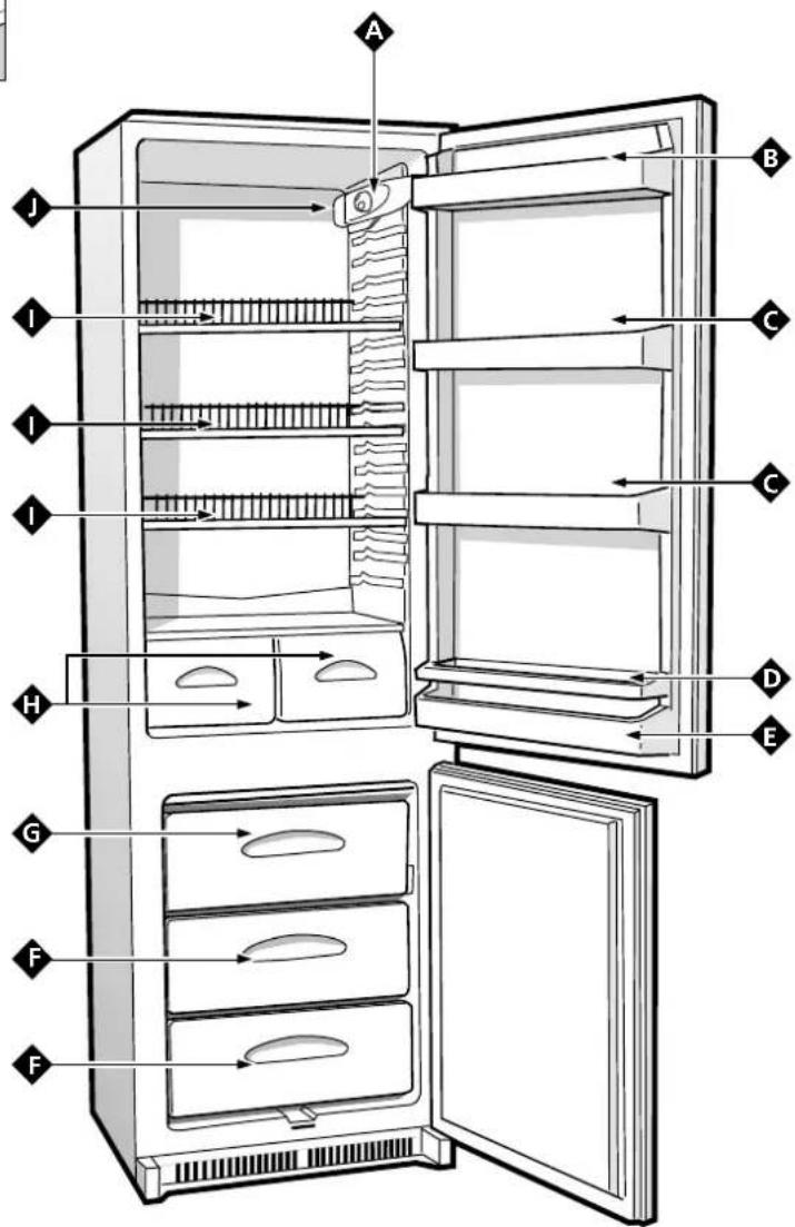 INDESIT GC 3100 - Lampada di illuminazione scomparto frigorifero - 1