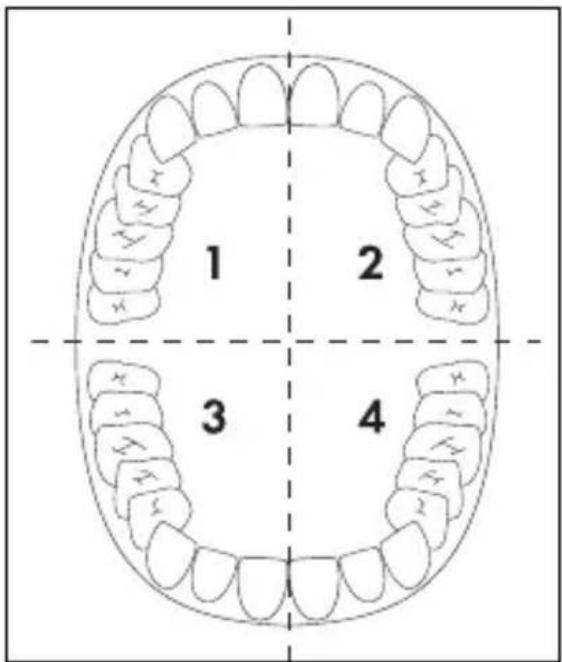 DENTALUX DAZ 2.4 A2 - Bemærk - 1