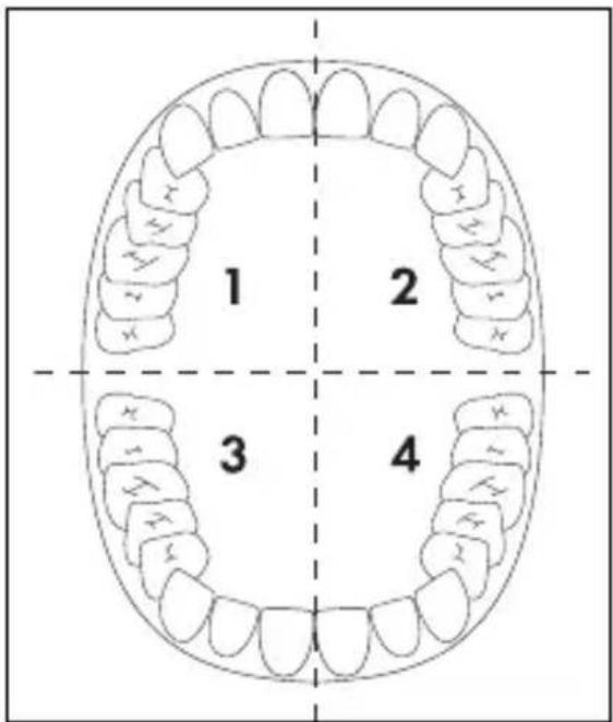 DENTALUX DAZ 2.4 A2 - i Hinweis - 1