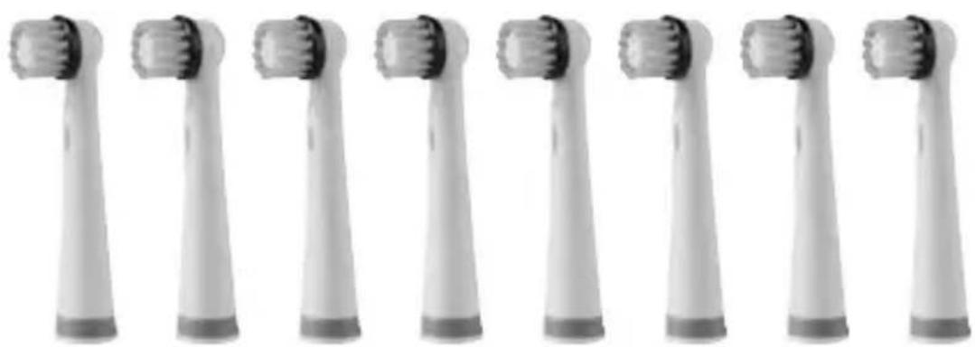 DENTALUX DAZ 2.4 A2 - DAZ 2.4 A2 - 1