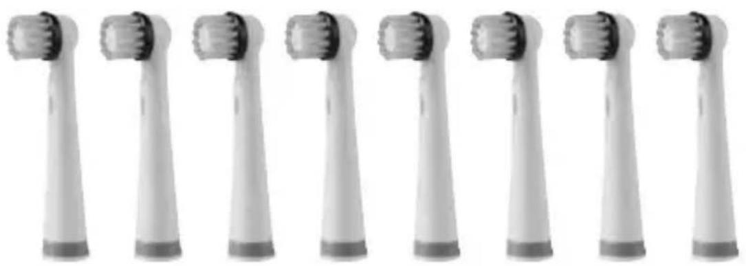 DENTALUX DAZ 2.4 A2 - DAZ 2.4 A2 - 1