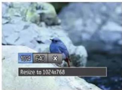 GE G100 - Resize - 1
