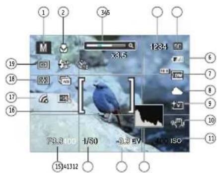 GE G100 - Still Picture Display Mode - 7