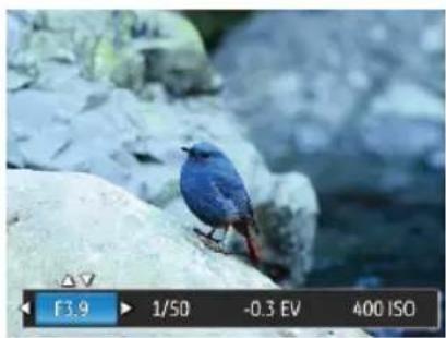 GE G100 - Aperture Adjustment - 1