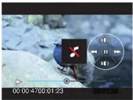 GE G100 - Viewing Photos and Videos - 2