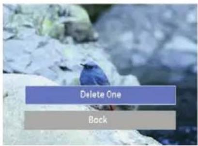 GE G100 - Using the Delete Button - 1