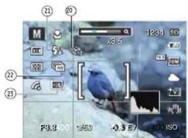 GE G100 - Still Picture Display Mode - 8