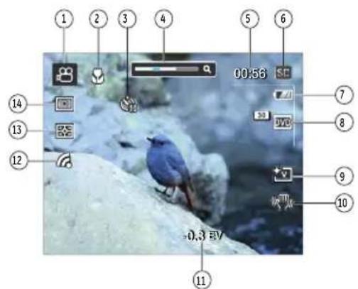 GE G100 - Video Shooting Display Mode - 1