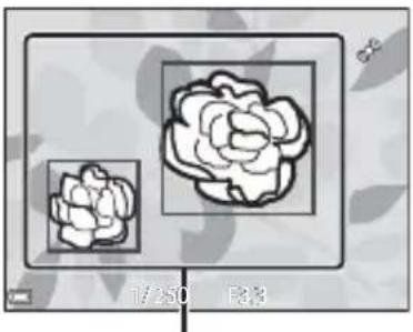 NIKON Coolpix S6800 - Mode de zones AF - 6