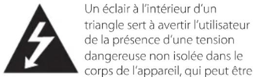 Un éclair à l'intérieur d'un triangle sert à avertir l'utilisateur de la présence d'une tension dangereuse non isolée dans le corps de l'appareil, qui peut être