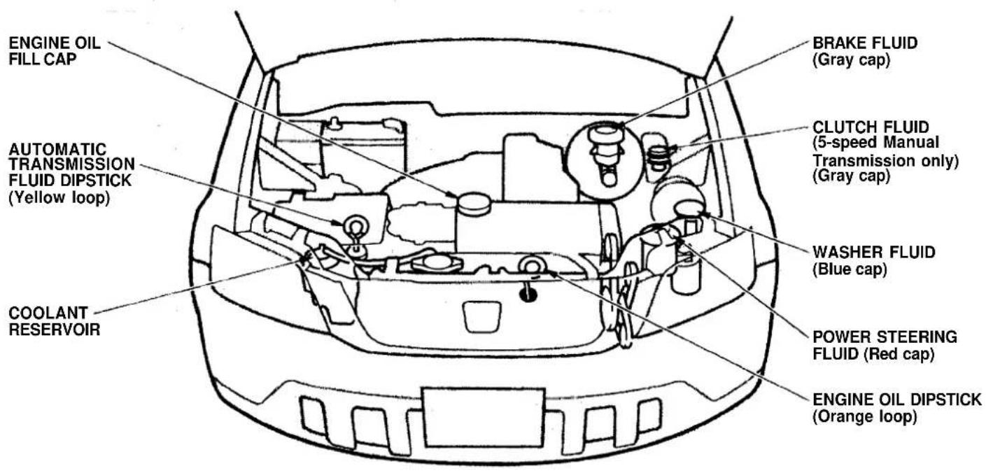 Honda CR-V (1999) - Fluid Locations - 1
