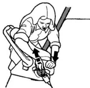 Honda CR-V (1999) - Installing a Rear-Facing Child Seat with a Lap/Shoulder Belt - 3
