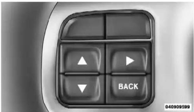 BACK 040909599