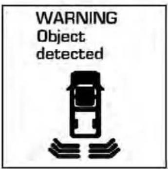 WARNING Object detected
