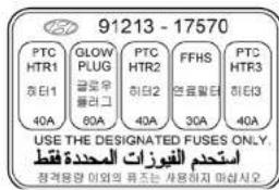 HYUNDAI Matrix (2007) - FUSE PANEL DESCRIPTION - 4