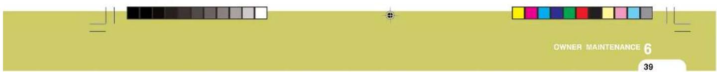 HYUNDAI Matrix (2007) - FUSE PANEL DESCRIPTION - 2