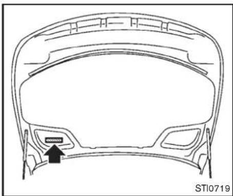 INFINITI Q70 (2012) - NUMÉROD'IDENTIFICATIONDUVÉ-HICULE(numérodechâssis) - 3