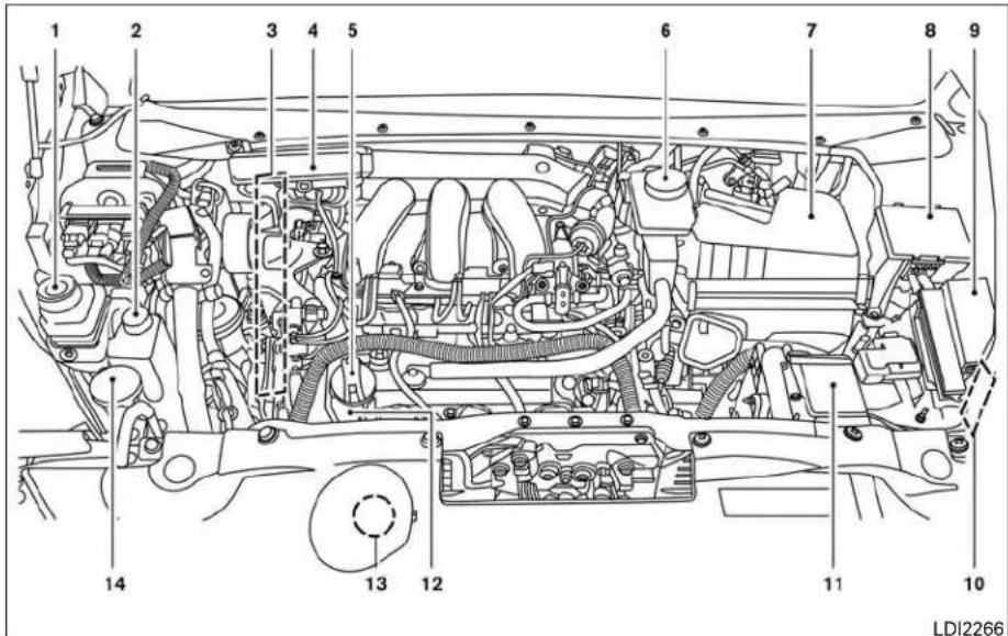 INFINITI QX60 (2014) - POINTSDEVÉRIFICATIONDANSLE COMPARTIMENTMOTEUR - 1