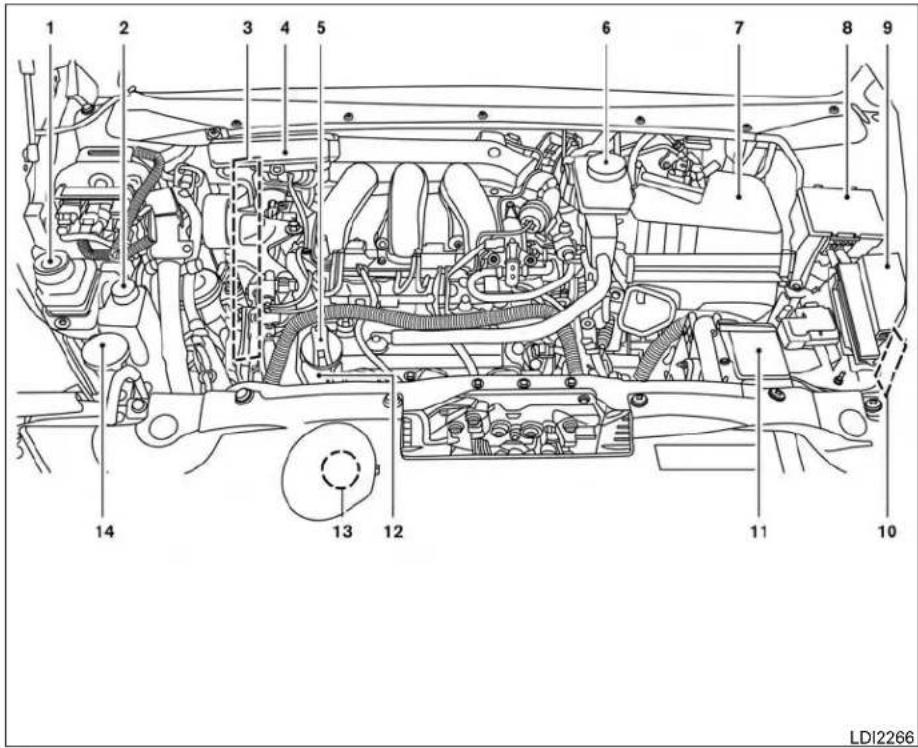 INFINITI QX60 (2014) - POINTSDEVÉRIFICATIONDANSLE COMPARTIMENTMOTEUR - 1