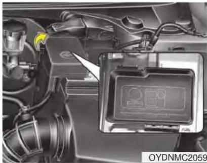 KIA Forte5 (2014) - (Battery terminal cover) - 1