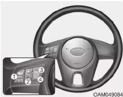 KIA Soul (2012) - CAUTION - Antenna - 1