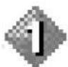Lincoln Town Car (2007) - Navigationmenu - 3