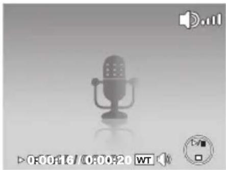 POLAROID i1237 - - Playing Voice Recording - 1