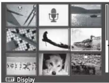 POLAROID i1237 - - Viewing Thumbnails - 1