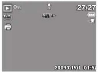 POLAROID i1237 - NOTE: - 1