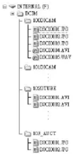 POLAROID i1237 - Folder Structure - 1