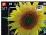 PANASONIC Lumix DMC-ZS8 - Prises de vues rapprochées - 2