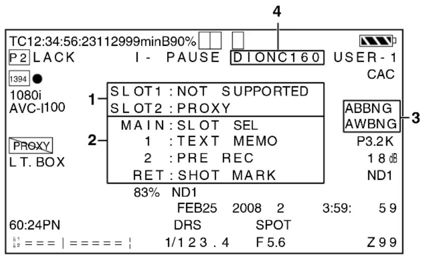PANASONIC AG-HPX300P - MODE CHECK indication - 1