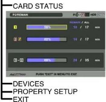 PANASONIC AG-HPX300P - Thumbnail Manipulations Overview - 9