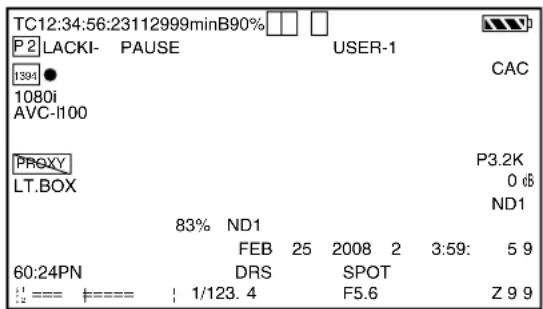 PANASONIC AG-HPX300P - Viewfinder Status Indication Layout - 1