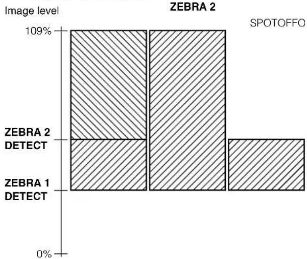PANASONIC AG-HPX300P - Zebra pattern display - 2