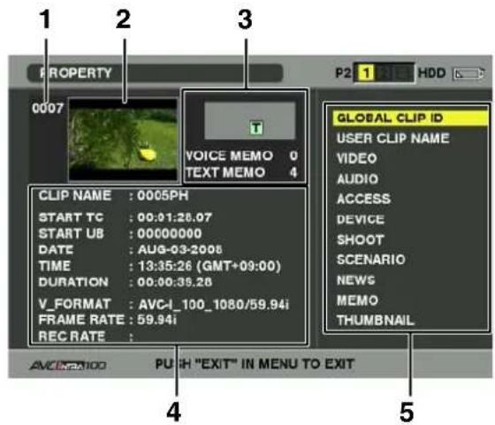PANASONIC AG-HPX300P - Clip Property - 1