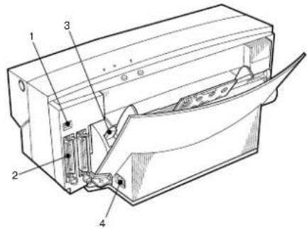 OKI DP-5000 - Rear view of printer with Macintosh interface module - 1