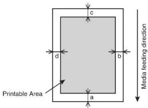 Mutoh VJ-1638 - Printable area - 1