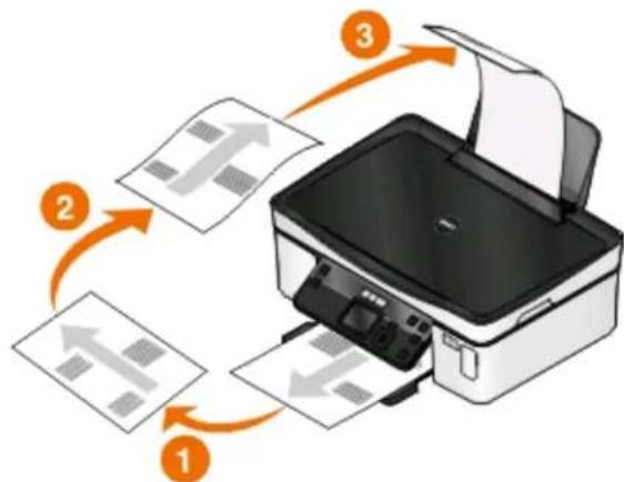 DELL P513w - For Windows users - 1
