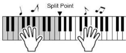 YAMAHA PSR-E403 - Play the chords with your left hand and melody with your right. - 1
