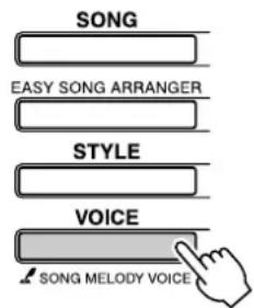 YAMAHA PSR-E403 - Change the song's melody voice. - 1