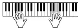 YAMAHA PSR-E403 - Use the Performance Assistant to Play Like a Pro! - 2